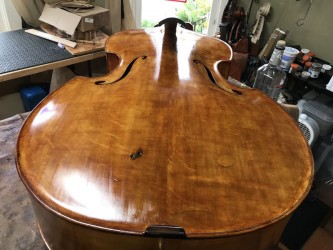 Tarr bass-Early varnish