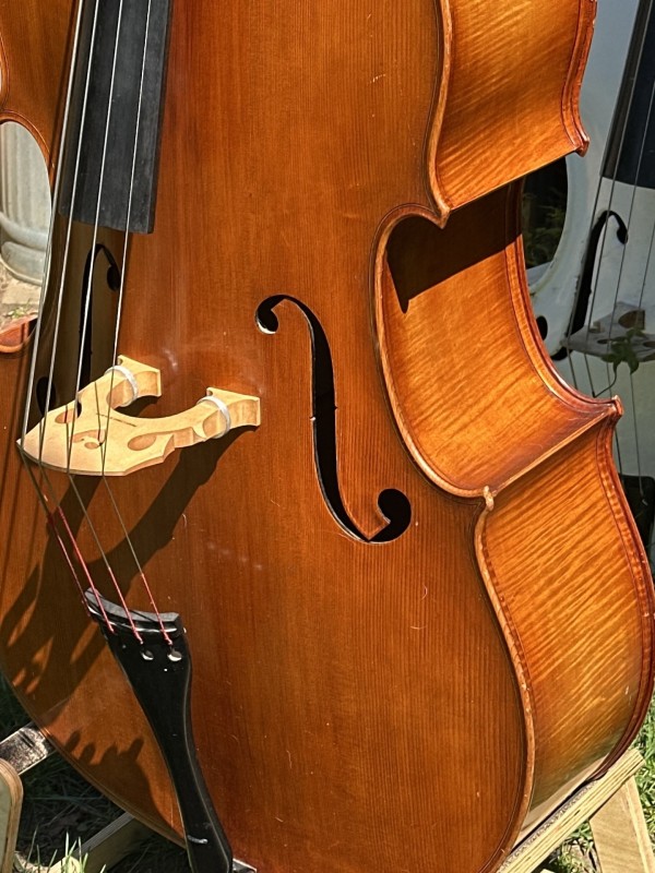 Flamed Maple Back, neck, and sides.